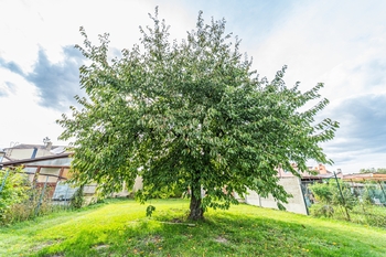 Prodej domu 95 m², Pletený Újezd