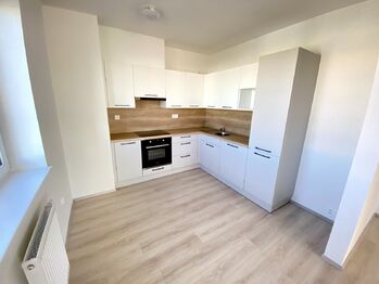 Pronájem bytu 4+kk v osobním vlastnictví 131 m², Plzeň