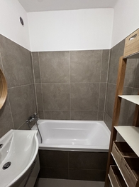 Pronájem bytu 2+1 v osobním vlastnictví 54 m², Ostrava