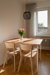Pronájem bytu 2+1 v osobním vlastnictví 54 m², Ostrava