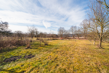 Prodej chaty / chalupy 125 m², Medový Újezd