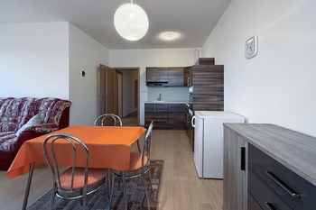 Obývací pokoj - Pronájem bytu 2+kk v osobním vlastnictví 53 m², Rakovník