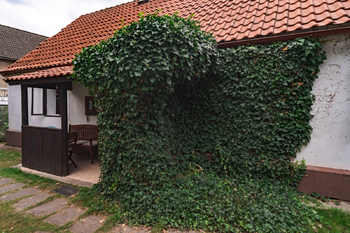 Prodej chaty / chalupy 80 m², Měcholupy