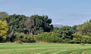 Prodej pozemku 10929 m², Bulhary