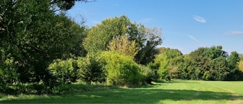 Prodej pozemku 10929 m², Bulhary