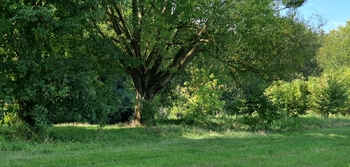 Prodej pozemku 10929 m², Bulhary