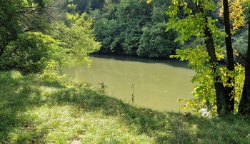 Prodej pozemku 10929 m², Bulhary