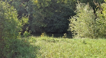 Prodej pozemku 10929 m², Bulhary