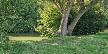 Prodej pozemku 10929 m², Bulhary
