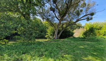 Prodej pozemku 10929 m², Bulhary