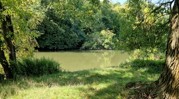 Prodej pozemku 10929 m², Bulhary