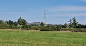 Prodej pozemku 10929 m², Bulhary