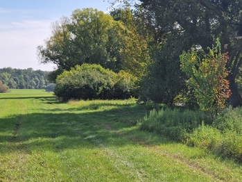 Prodej pozemku 10929 m², Bulhary