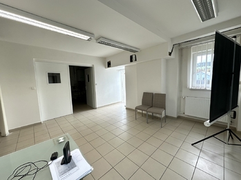 Prodej obchodních prostor 1076 m², Lutonina