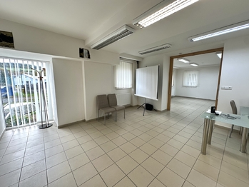 Prodej obchodních prostor 1076 m², Lutonina
