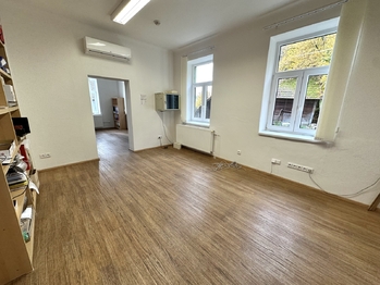 Prodej obchodních prostor 1076 m², Lutonina