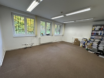 Prodej obchodních prostor 1076 m², Lutonina