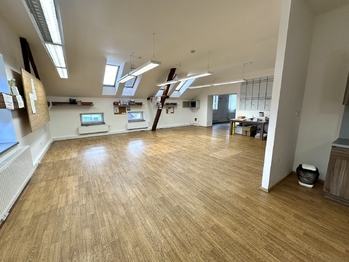 Prodej obchodních prostor 1076 m², Lutonina