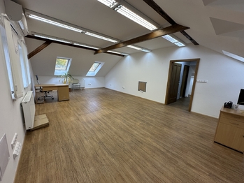 Prodej obchodních prostor 1076 m², Lutonina
