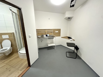 Prodej obchodních prostor 1076 m², Lutonina