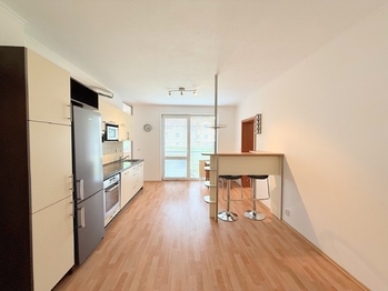 Pronájem bytu 2+kk v osobním vlastnictví 55 m², Plzeň
