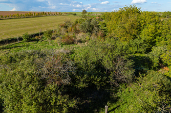 Prodej pozemku 2203 m², Slatina