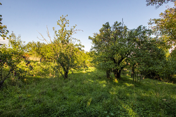 Prodej pozemku 2203 m², Slatina