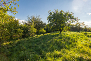Prodej pozemku 2203 m², Slatina