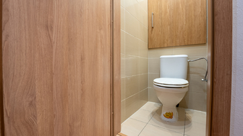 Toaleta - Prodej bytu 2+1 v osobním vlastnictví 54 m², Vyškov