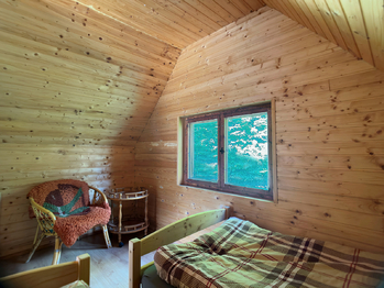 Prodej chaty / chalupy 37 m², Borač