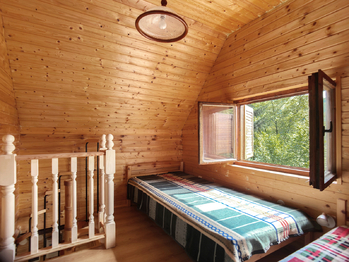 Prodej chaty / chalupy 37 m², Borač