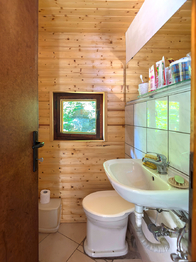 Prodej chaty / chalupy 37 m², Borač
