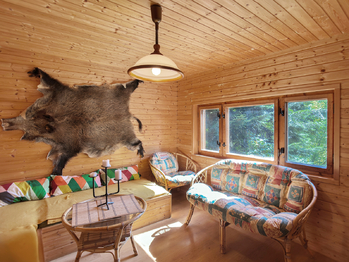 Prodej chaty / chalupy 37 m², Borač