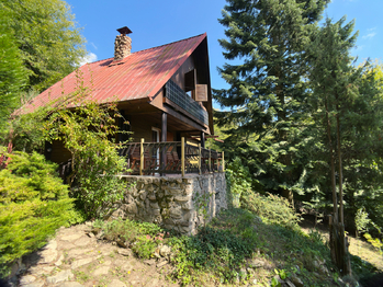 Prodej chaty / chalupy 37 m², Borač