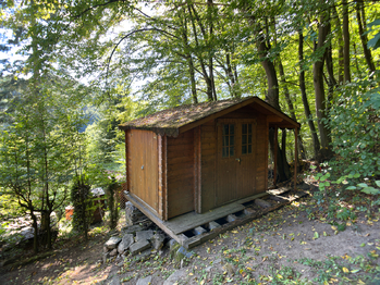 Prodej chaty / chalupy 37 m², Borač