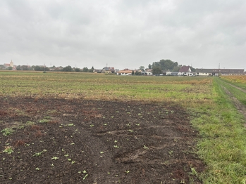 Prodej pozemku 14681 m², Vrbovec
