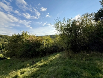 Prodej pozemku 589 m², Bílovice nad Svitavou