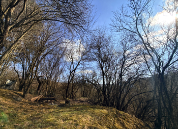 Prodej pozemku 589 m², Bílovice nad Svitavou