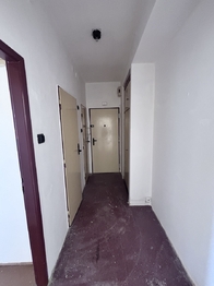 Pronájem bytu 2+1 v osobním vlastnictví 55 m², Ústí nad Labem
