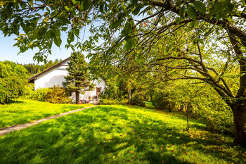 Prodej domu 350 m², Vlachovo Březí