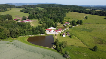 Prodej pozemku 1835 m², Dolní Dvořiště