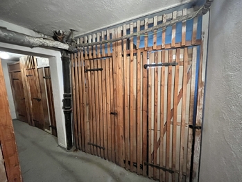 Prodej bytu 3+1 v družstevním vlastnictví 64 m², Nová Cerekev