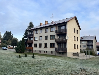 Prodej bytu 3+1 v družstevním vlastnictví 64 m², Nová Cerekev