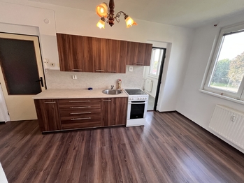 Prodej bytu 3+1 v družstevním vlastnictví 64 m², Nová Cerekev