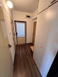 Prodej bytu 3+1 v družstevním vlastnictví 64 m², Nová Cerekev