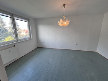 Prodej bytu 3+1 v družstevním vlastnictví 64 m², Nová Cerekev