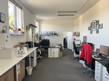 Kanceláře - Pronájem skladovacích prostor 733 m², Přezletice