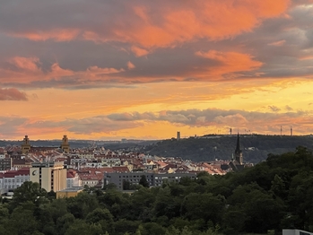 Prodej bytu 5+kk v osobním vlastnictví 186 m², Praha 3 - Žižkov