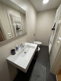 Prodej bytu 5+kk v osobním vlastnictví 186 m², Praha 3 - Žižkov