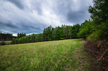 Prodej chaty / chalupy 45 m², Zbraslavice